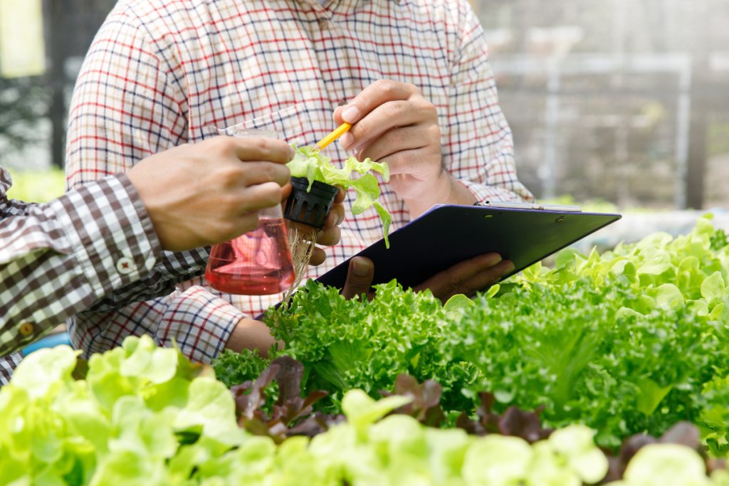 Novel Approaches in Food Technology: Addressing Global Food Security and Sustainability